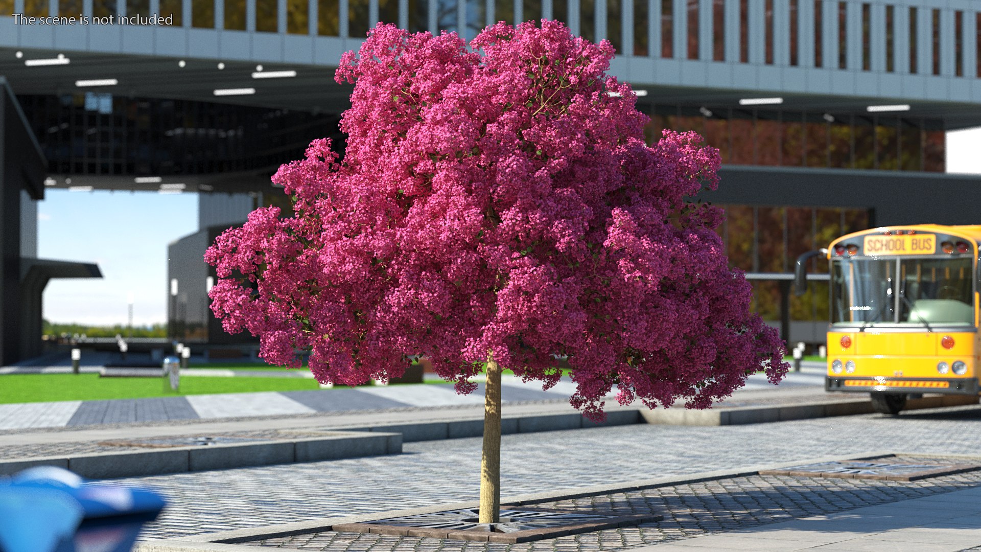 Handroanthus Impetiginosus Foliage 3D model https://p.turbosquid.com/ts-thumb/l9/LB5Jc4/9R/handroanthusimpetiginosusfoliagevray3dmodel002/jpg/1620091437/1920x1080/fit_q87/6a58d032a3306af2e714fc5a44d6823c7201f6c9/handroanthusimpetiginosusfoliagevray3dmodel002.jpg