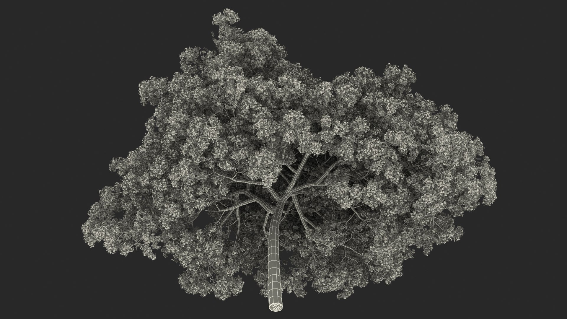 Handroanthus Impetiginosus Foliage 3D model https://p.turbosquid.com/ts-thumb/l9/LB5Jc4/A1/handroanthusimpetiginosusfoliagevray3dmodel026/jpg/1620091599/1920x1080/fit_q87/1845f9233d2e7066ec1767a95f03ebdfd777180c/handroanthusimpetiginosusfoliagevray3dmodel026.jpg