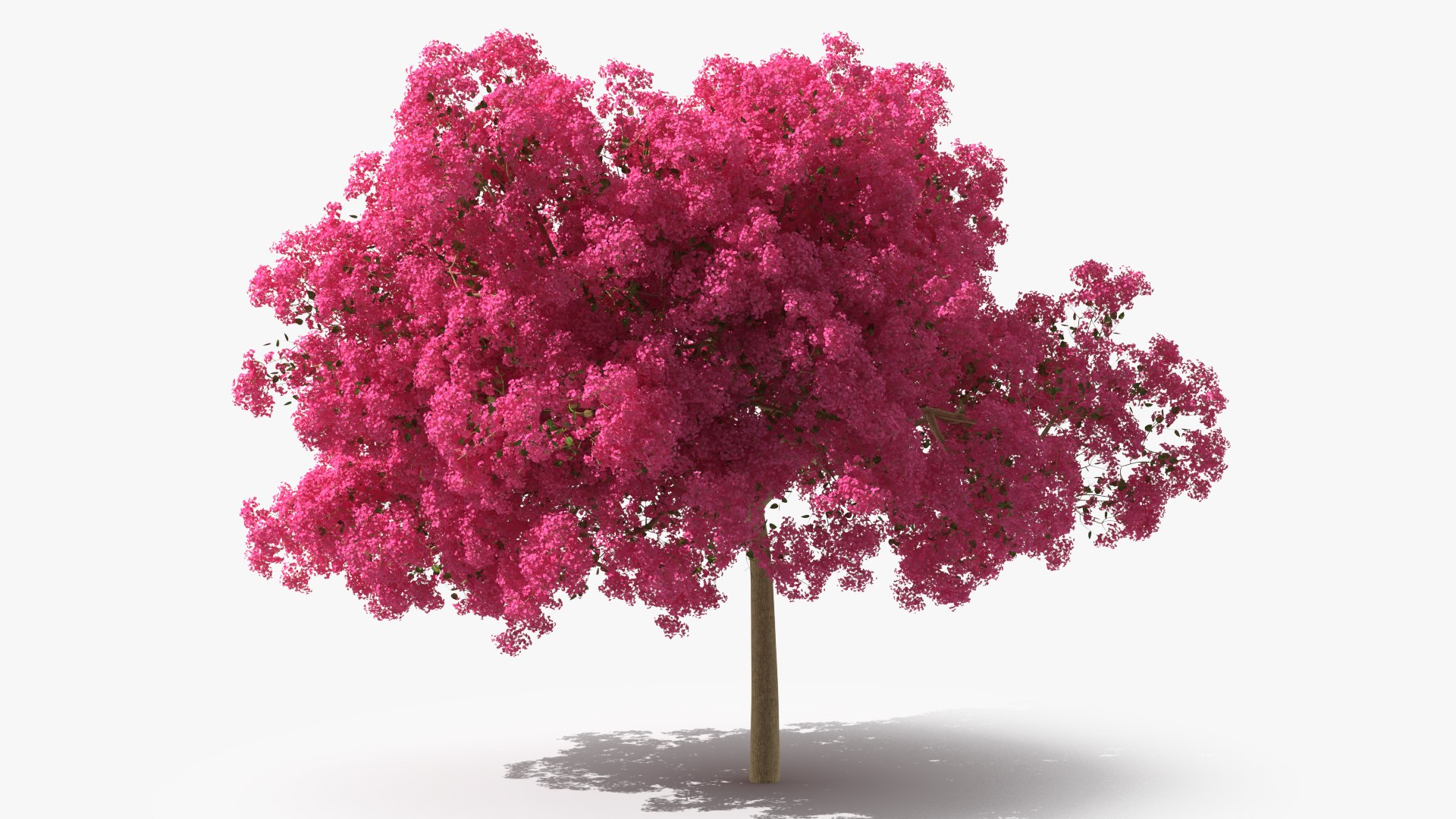 Handroanthus Impetiginosus Foliage 3D model https://p.turbosquid.com/ts-thumb/l9/LB5Jc4/Bz/handroanthusimpetiginosusfoliagevray3dmodel006/jpg/1620091468/1920x1080/fit_q87/212769844215097b60e2686429e0197540a5232e/handroanthusimpetiginosusfoliagevray3dmodel006.jpg