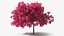 Handroanthus Impetiginosus Foliage