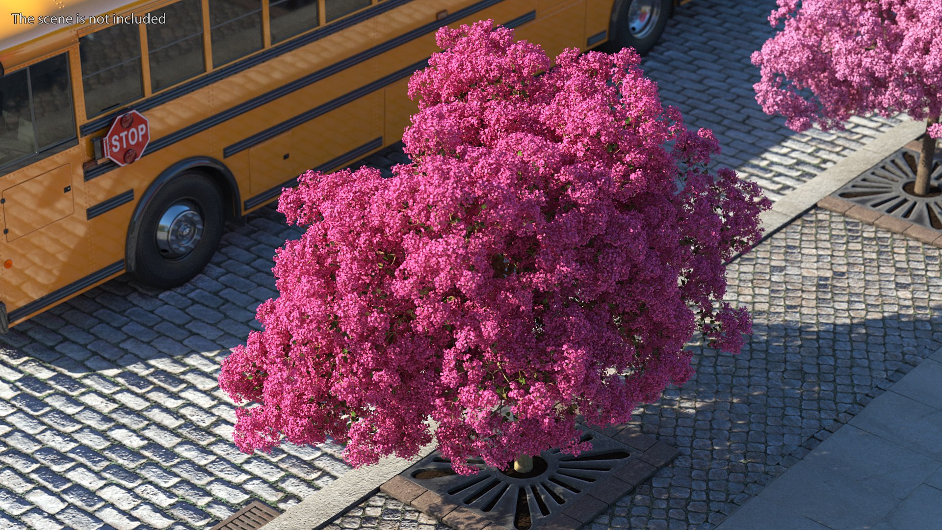 Handroanthus Impetiginosus Foliage 3D model https://p.turbosquid.com/ts-thumb/l9/LB5Jc4/Dk/handroanthusimpetiginosusfoliagevray3dmodel004/jpg/1620091452/1920x1080/fit_q87/83aa74c960ad54b6d27ea562a21c762863df7d52/handroanthusimpetiginosusfoliagevray3dmodel004.jpg