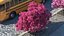 Handroanthus Impetiginosus Foliage