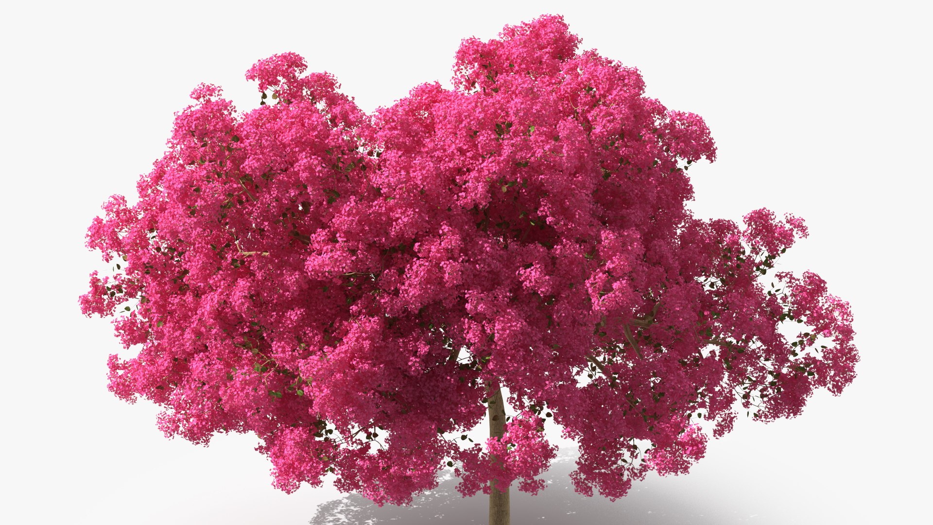 Handroanthus Impetiginosus Foliage 3D model https://p.turbosquid.com/ts-thumb/l9/LB5Jc4/PY/handroanthusimpetiginosusfoliagevray3dmodel007/jpg/1620091475/1920x1080/fit_q87/b2ddeb4fc8a5bccdb85466e2a99cdb940c7940a6/handroanthusimpetiginosusfoliagevray3dmodel007.jpg