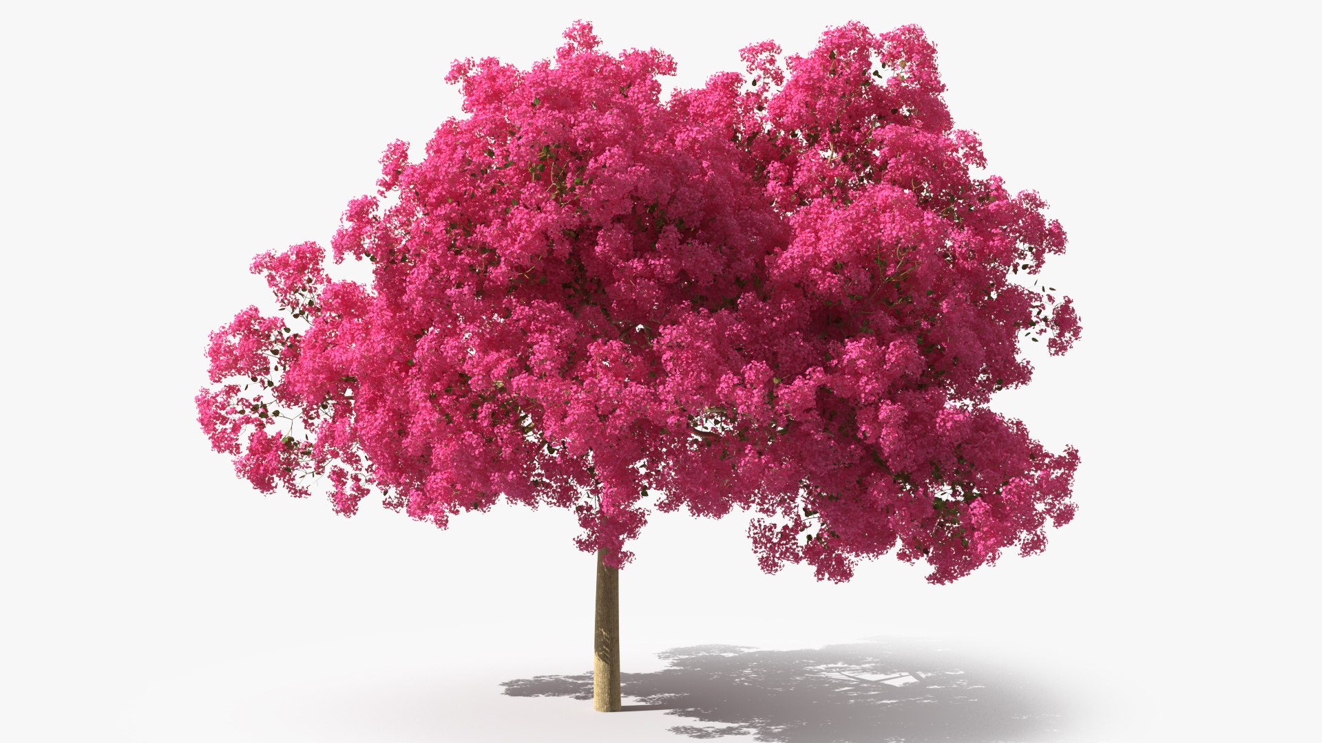 Handroanthus Impetiginosus Foliage 3D model preview