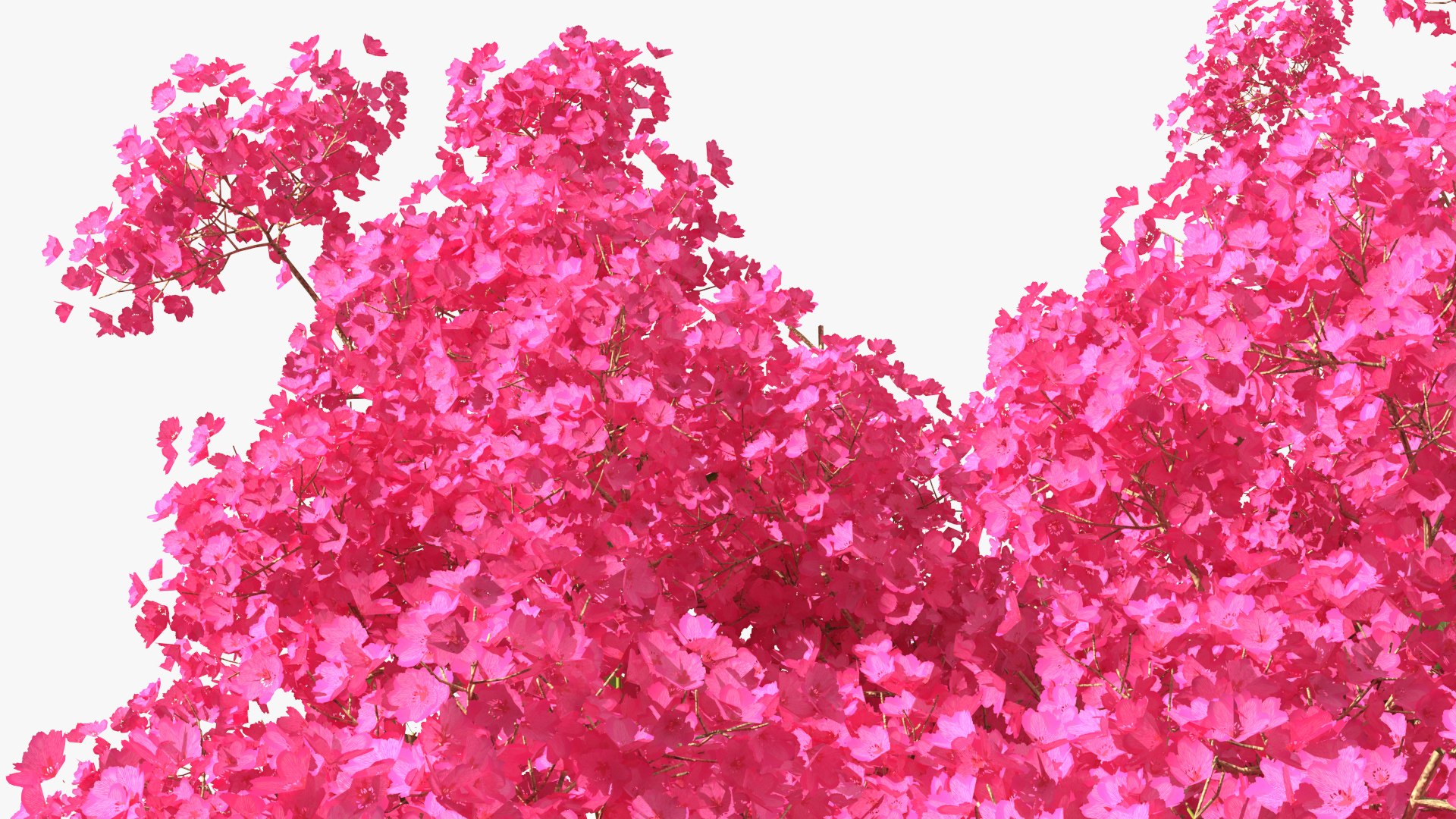 Handroanthus Impetiginosus Foliage 3D model https://p.turbosquid.com/ts-thumb/l9/LB5Jc4/VY/handroanthusimpetiginosusfoliagevray3dmodel013/jpg/1620091515/1920x1080/fit_q87/77ce280966d2a31951910c1d9d6203fac9b3d7ff/handroanthusimpetiginosusfoliagevray3dmodel013.jpg