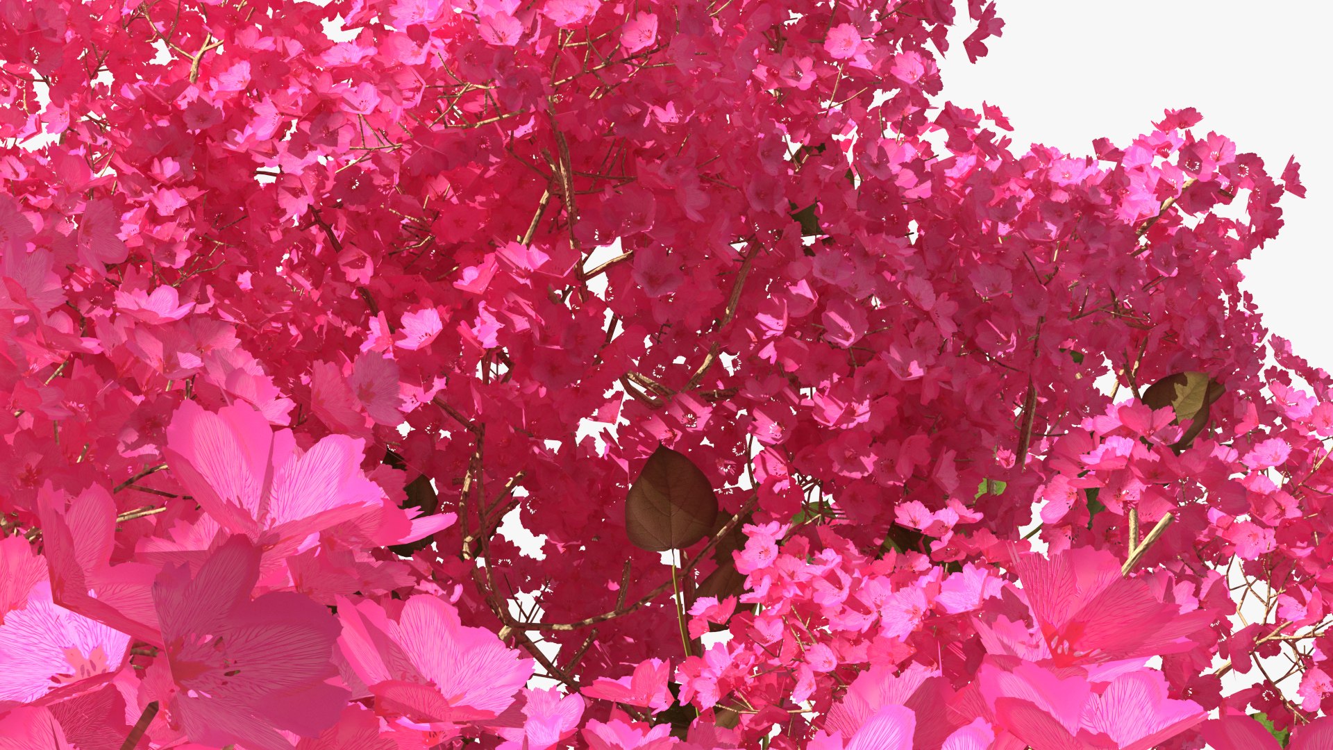 Handroanthus Impetiginosus Foliage 3D model https://p.turbosquid.com/ts-thumb/l9/LB5Jc4/Zu/handroanthusimpetiginosusfoliagevray3dmodel014/jpg/1620091522/1920x1080/fit_q87/17295264ce2e22e6055987d1c7da9ffb13ab7fce/handroanthusimpetiginosusfoliagevray3dmodel014.jpg