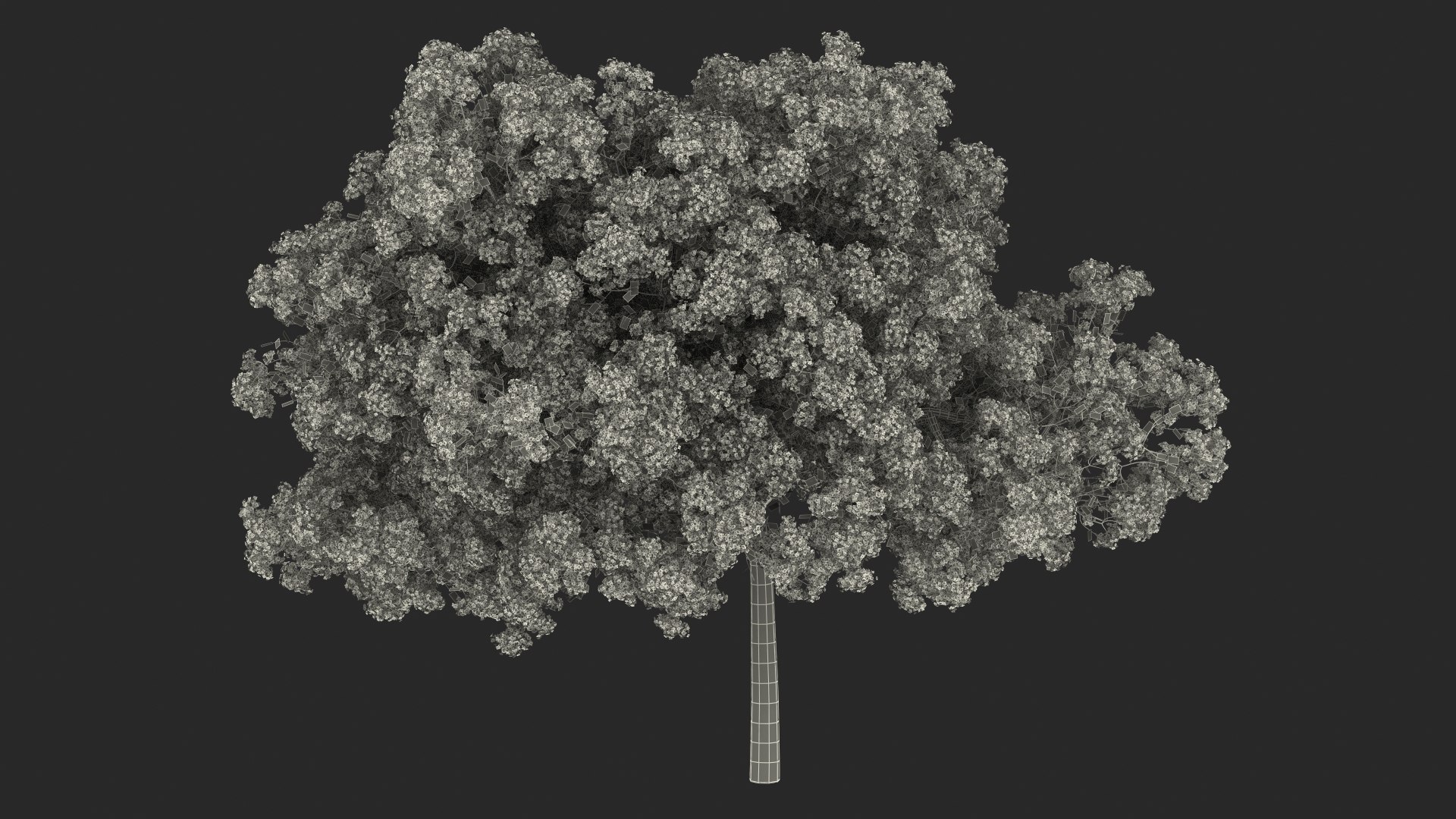 Handroanthus Impetiginosus Foliage 3D model https://p.turbosquid.com/ts-thumb/l9/LB5Jc4/kj/handroanthusimpetiginosusfoliagevray3dmodel024/jpg/1620091587/1920x1080/fit_q87/755cb31a78af7906401df0c0850db74092b405a5/handroanthusimpetiginosusfoliagevray3dmodel024.jpg