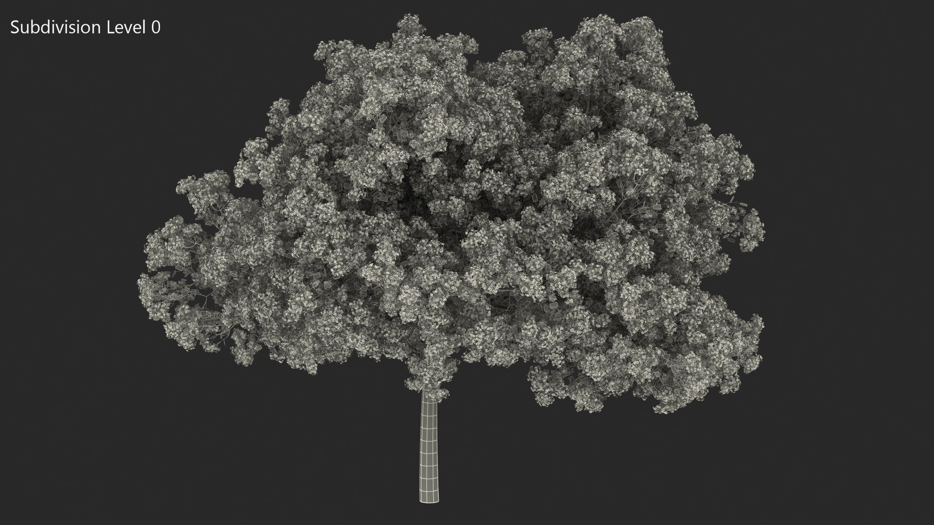 Handroanthus Impetiginosus Foliage 3D model https://p.turbosquid.com/ts-thumb/l9/LB5Jc4/qv/handroanthusimpetiginosusfoliagevray3dmodel016/jpg/1620091534/1920x1080/fit_q87/38def01cc385f6981abdc8a6be5f6648c639195e/handroanthusimpetiginosusfoliagevray3dmodel016.jpg