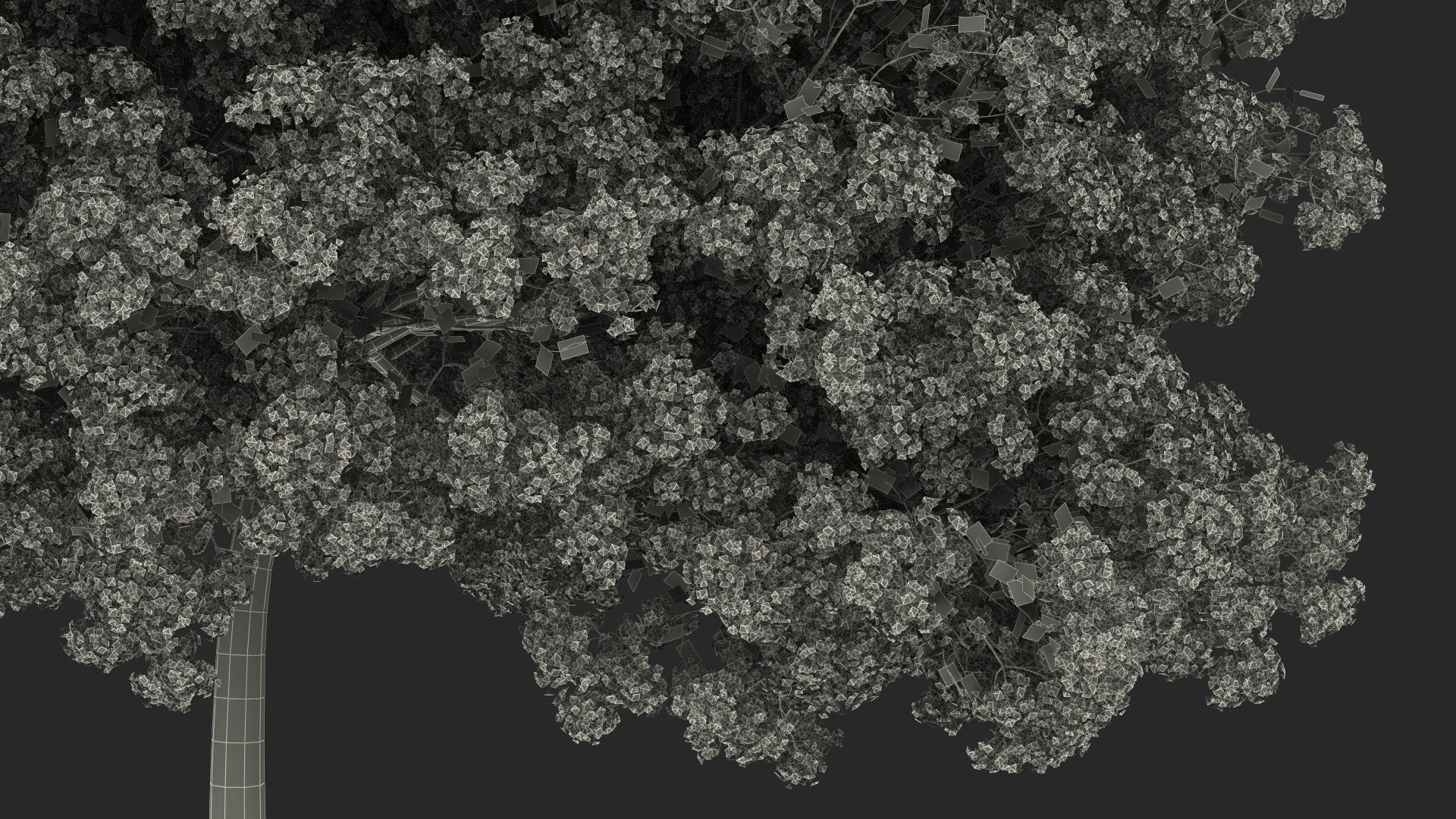Handroanthus Impetiginosus Foliage 3D model https://p.turbosquid.com/ts-thumb/l9/LB5Jc4/ra/handroanthusimpetiginosusfoliagevray3dmodel028/jpg/1620091612/1920x1080/fit_q87/eae2aa9786330ed62d3c9c0ea7fa6f2dfc767c08/handroanthusimpetiginosusfoliagevray3dmodel028.jpg