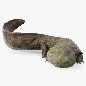 3D Aquatic Salamander Light Wet Rigged model