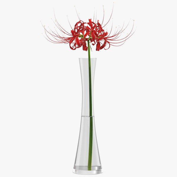 3D Lycoris Radiata in Glass Vase