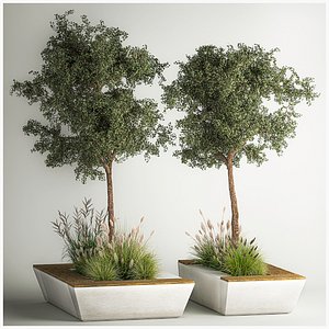 Trees for landscape design with a bench and bushes 1129