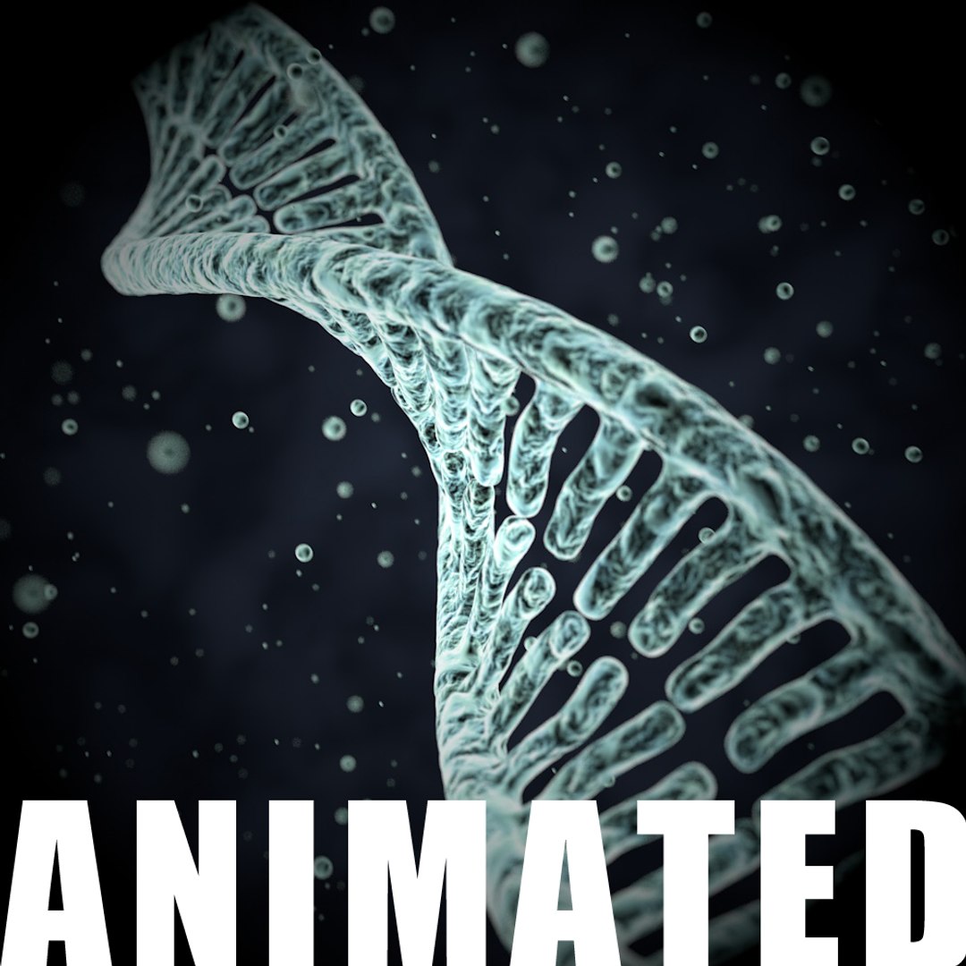 3d model human dna helix https://p.turbosquid.com/ts-thumb/l9/jx3yFZ/Hb5xZIIR/dnaanimated/jpg/1344934603/1920x1080/fit_q87/4e45809433c989d1a4fe05dc58aa1dc6f57a9d5d/dnaanimated.jpg