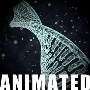 DNA Helix
