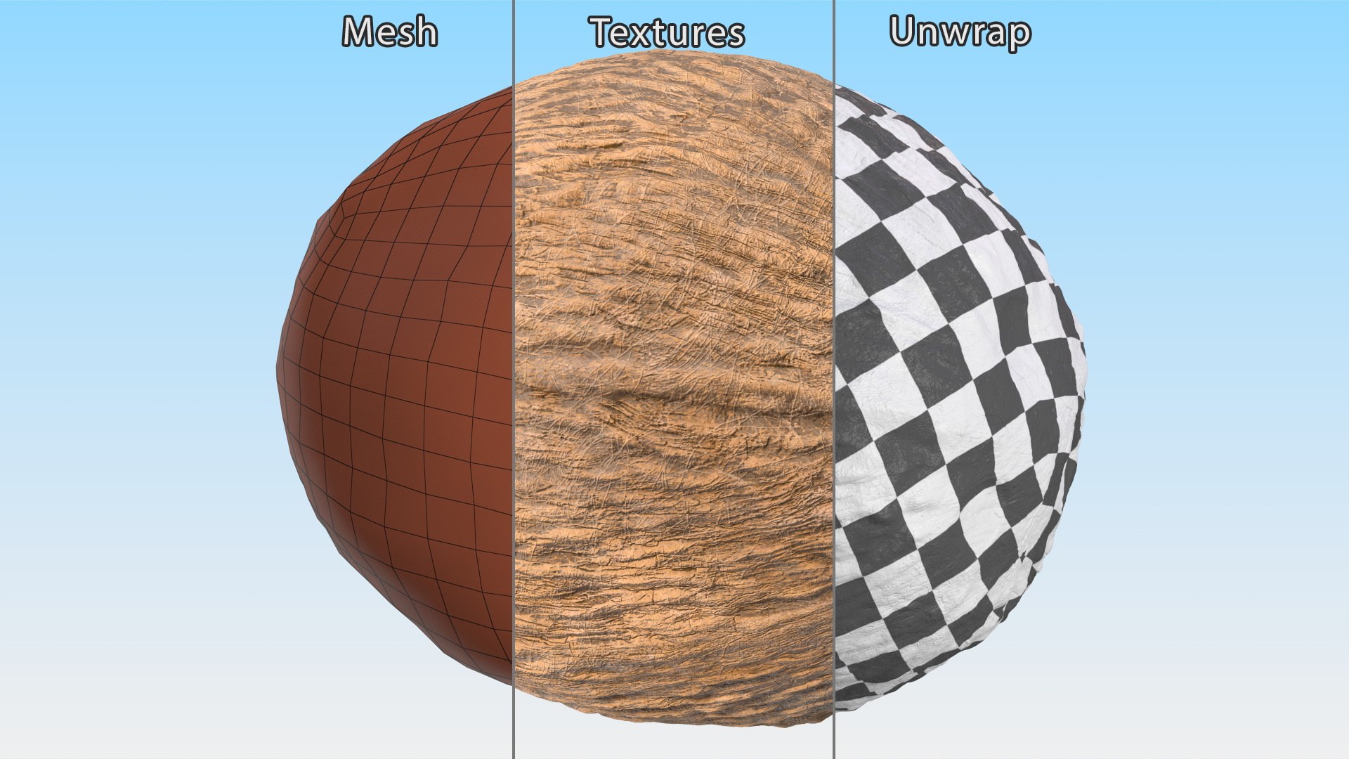 3D Coconut Model - TurboSquid 2396558