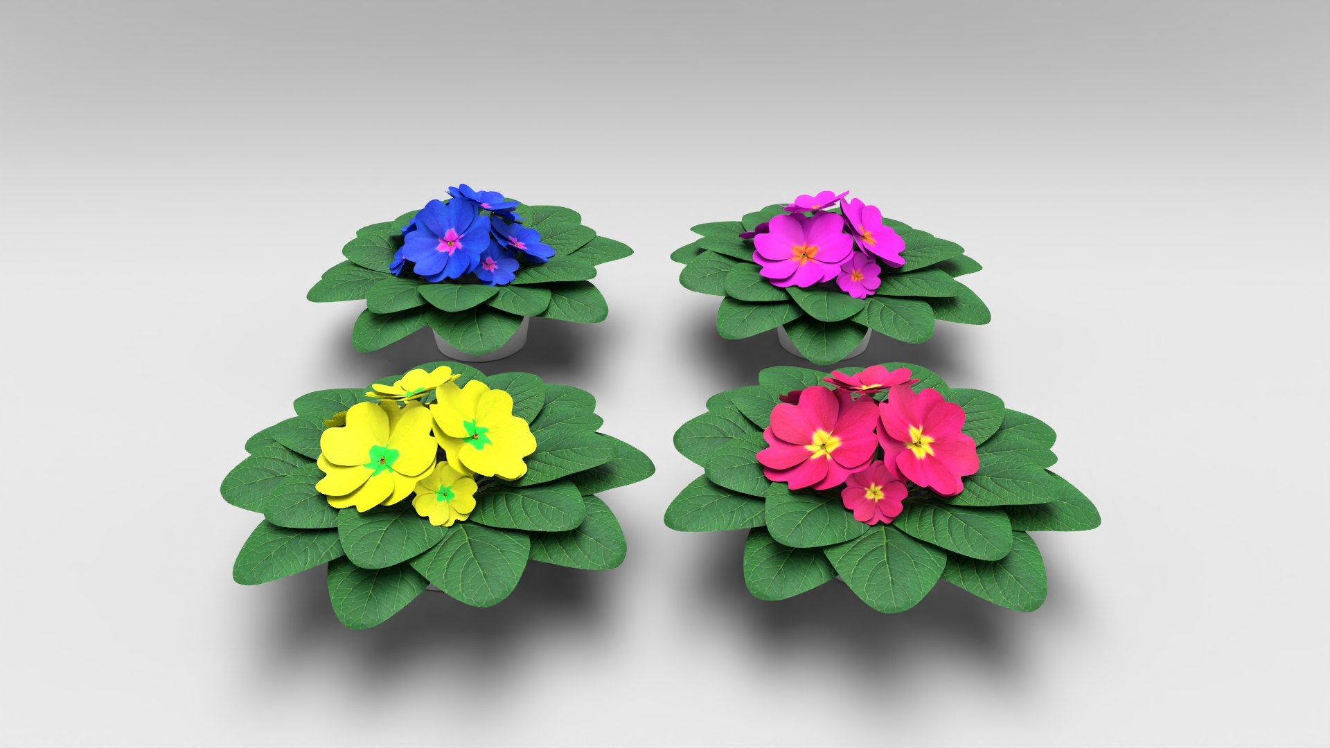acaulis flower 3D https://p.turbosquid.com/ts-thumb/lA/088YIw/SUQxfluf/2/jpg/1599739270/1920x1080/fit_q87/31def10441c1c700940151e075cb40d6b13b0449/2.jpg