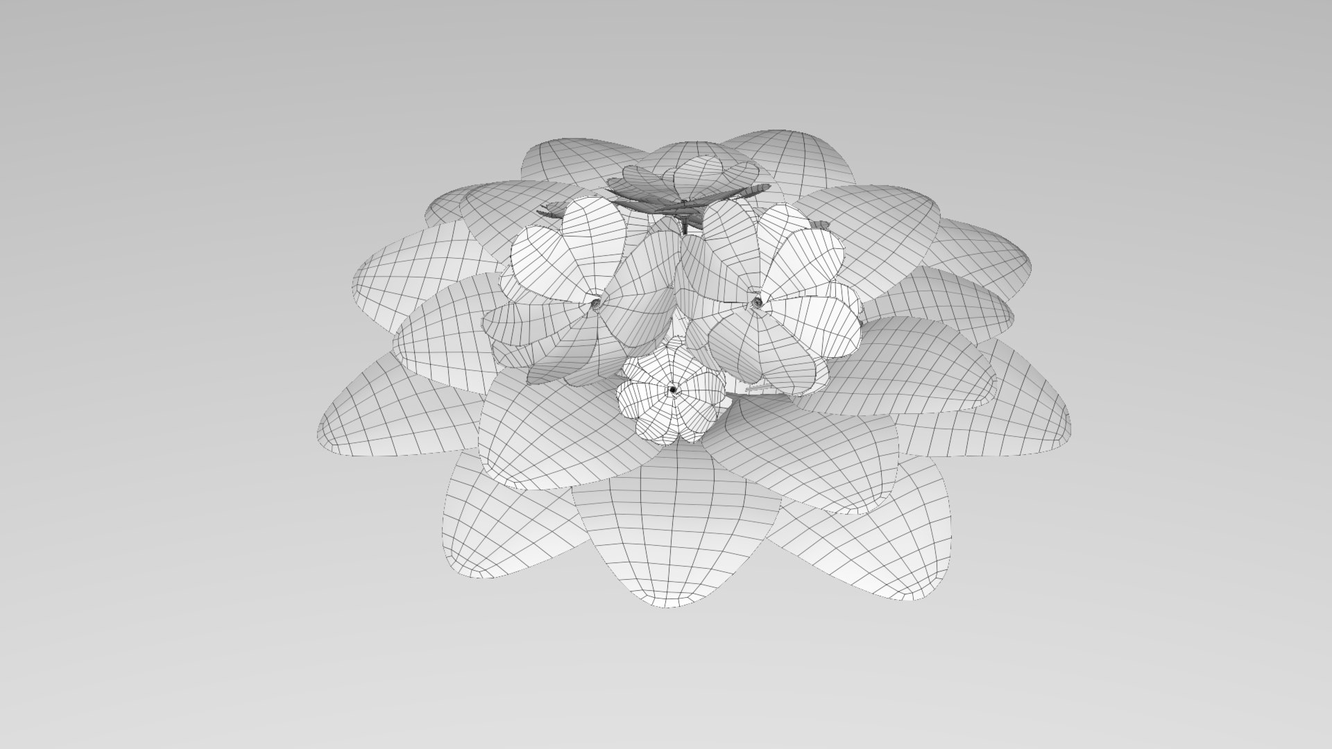 acaulis flower 3D https://p.turbosquid.com/ts-thumb/lA/088YIw/n1kpYoOa/1/jpg/1599739359/1920x1080/fit_q87/db1539a351c2ea51aea6f6ceb4ddcdfc3789665c/1.jpg
