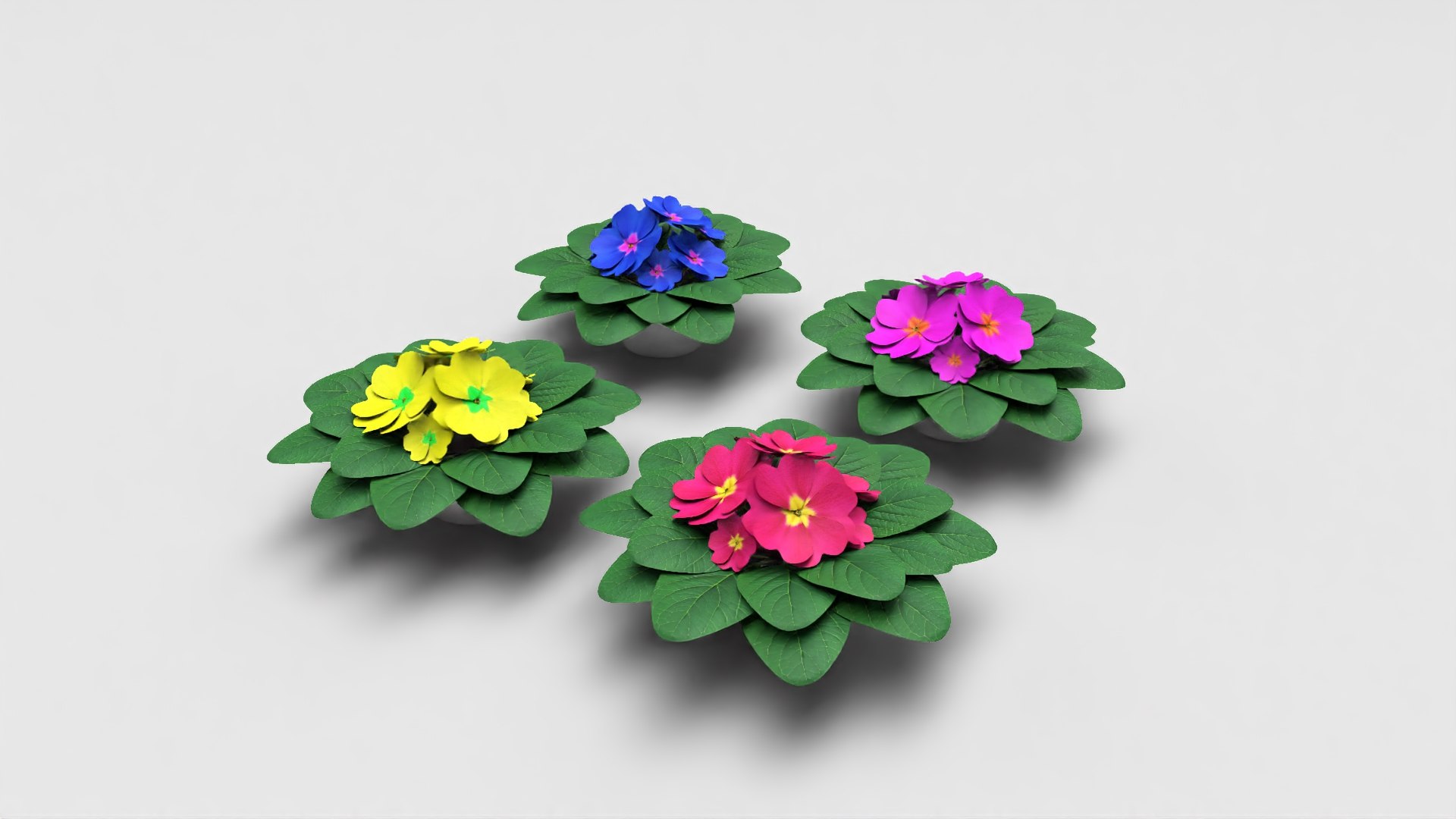 acaulis flower 3D https://p.turbosquid.com/ts-thumb/lA/088YIw/nzT5vmqd/_denoise.2/jpg/1599739277/1920x1080/fit_q87/6e81340f1397eaf3a6f9f55a2a620ba72e349ac1/_denoise.2.jpg