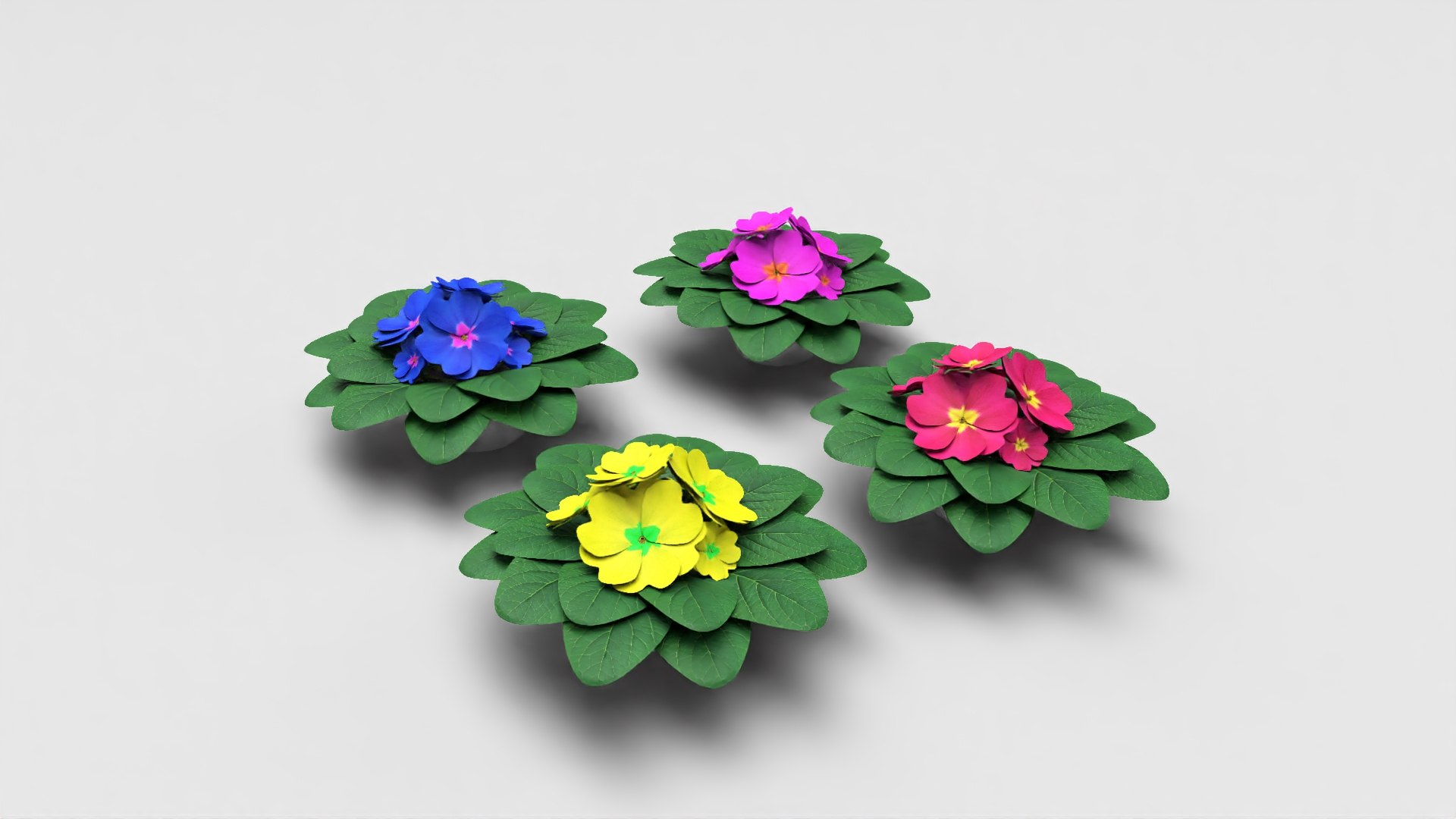 acaulis flower 3D https://p.turbosquid.com/ts-thumb/lA/088YIw/sSk8FG8r/_denoise.12/jpg/1599739276/1920x1080/fit_q87/f0c3e332cb7c4a2128acc895f67cc48e7af13ccf/_denoise.12.jpg