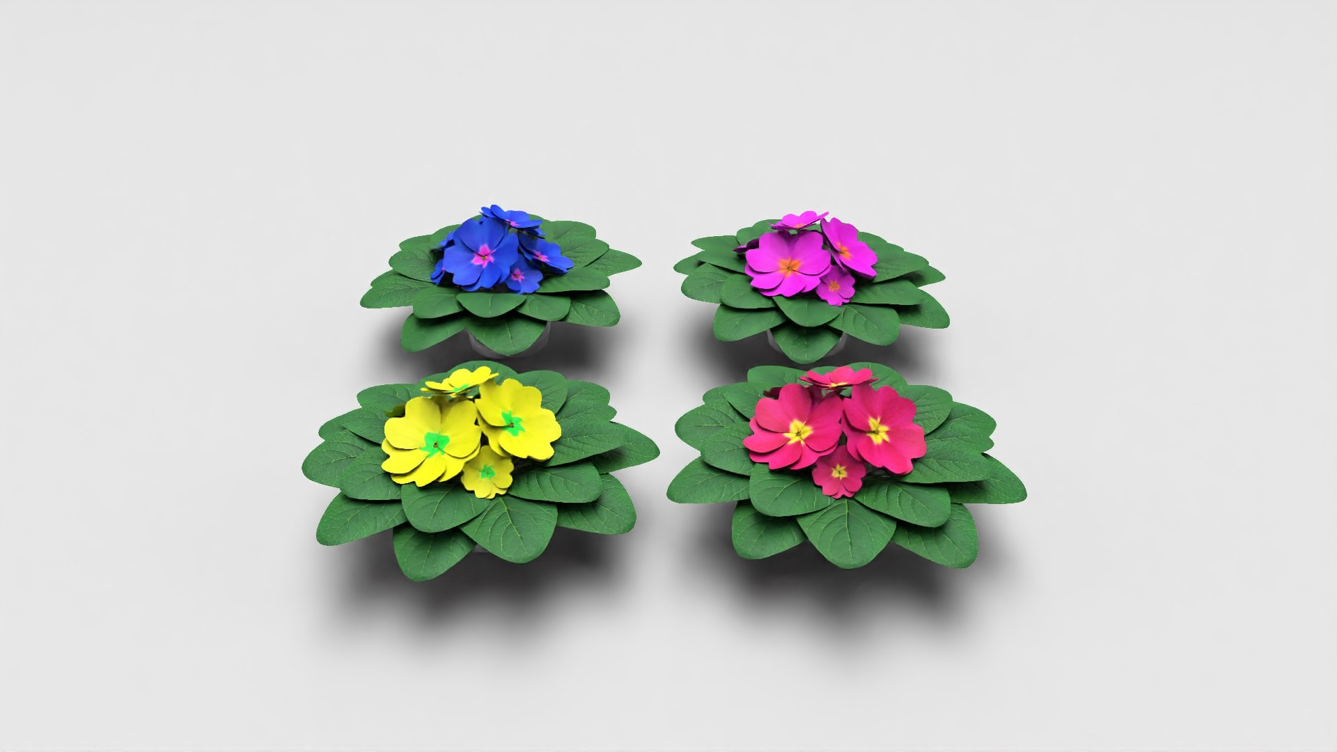 acaulis flower 3D https://p.turbosquid.com/ts-thumb/lA/088YIw/umrY17EJ/_denoise.1/jpg/1599739275/1920x1080/fit_q87/c6a39d50fbf72e4248c5aa113bf893624118de20/_denoise.1.jpg
