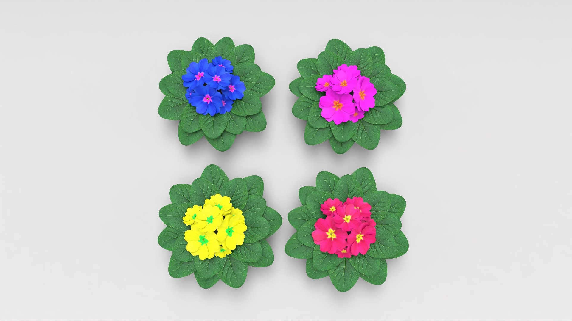 acaulis flower 3D https://p.turbosquid.com/ts-thumb/lA/088YIw/vQIgdTaF/4/jpg/1599739273/1920x1080/fit_q87/1b970a5c8822ca8cac3b8d99093348e3a083feff/4.jpg