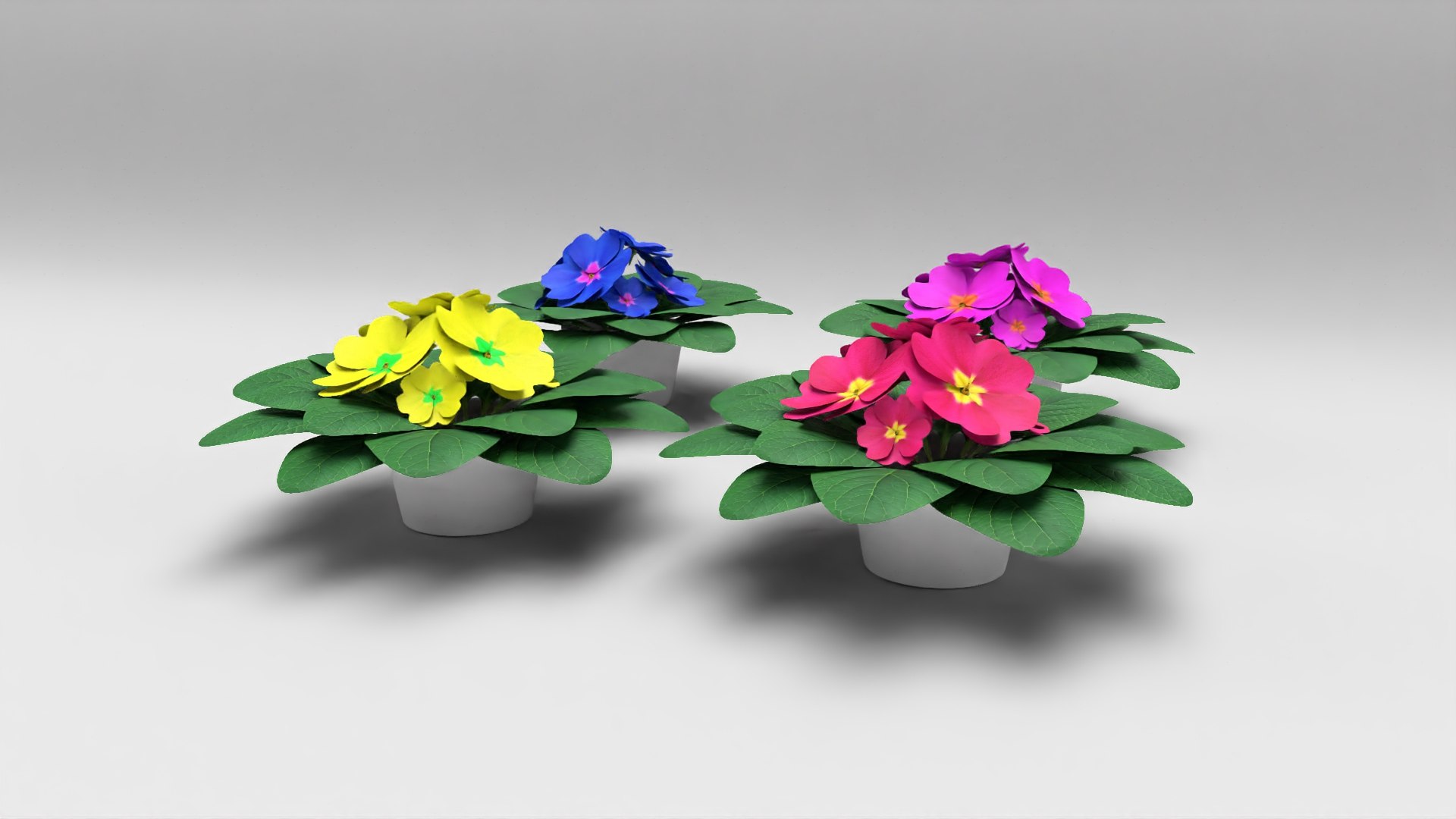 acaulis flower 3D https://p.turbosquid.com/ts-thumb/lA/088YIw/xv5HNCbH/5/jpg/1599739270/1920x1080/fit_q87/be9a85f23eb43541f31162077a98b4d84fca6375/5.jpg