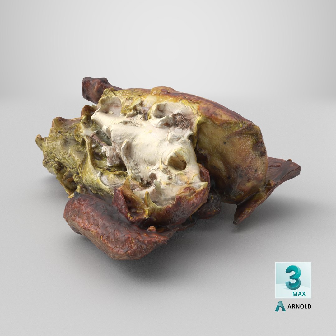 Roasted Chicken Cut model https://p.turbosquid.com/ts-thumb/lA/F1LYcM/fQ/stemcell_max_arnold_render/png/1747377194/1920x1080/fit_q87/c076c2510568f6a40c2b0bbb8154a6c341972898/stemcell_max_arnold_render.jpg
