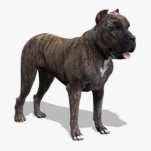 perro presa canario dog 3d x
