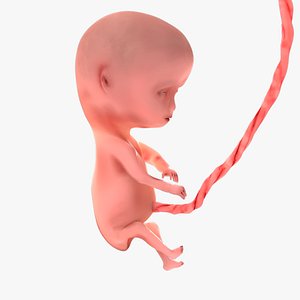 3D Pregnant Models | TurboSquid