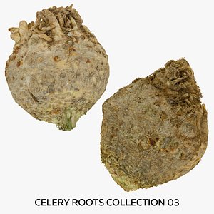 Celery Roots Collection 03 - 2 models RAW Scans 3D