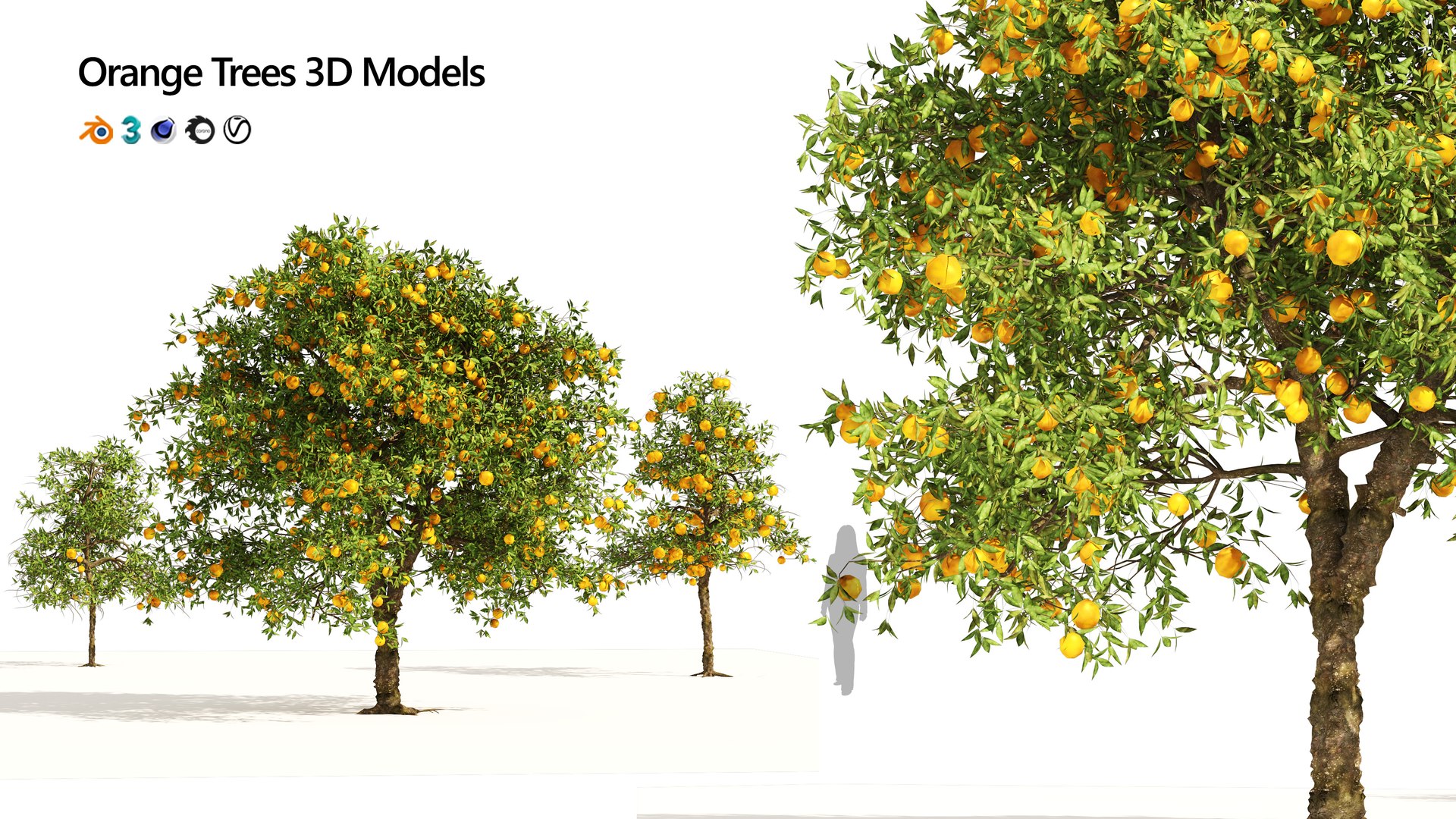 Orange Fruit Tree 3D Model - TurboSquid 1940695