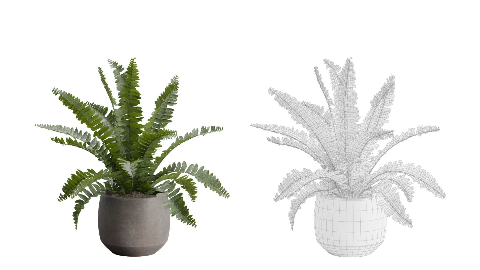 Indoor Plants Pack 46 3D model https://p.turbosquid.com/ts-thumb/lB/3PmxsK/du/preview10_ts_0000/jpeg/1682192218/1920x1080/fit_q87/b6d2300a7939c7362c328726e9fb27a2b9b5629c/preview10_ts_0000.jpg