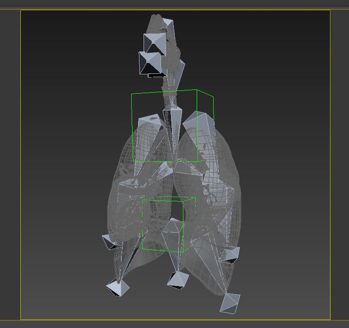 Respiratory System Rigged and Animated 3D model https://p.turbosquid.com/ts-thumb/lB/Mgoirq/5j/rig/jpg/1753113372/1920x1080/fit_q87/34774fb085f0f1b48807ceaa5466e9ea6f6a9c3c/rig.jpg