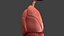 Respiratory System Rigged and Animated