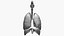 Respiratory System Rigged and Animated