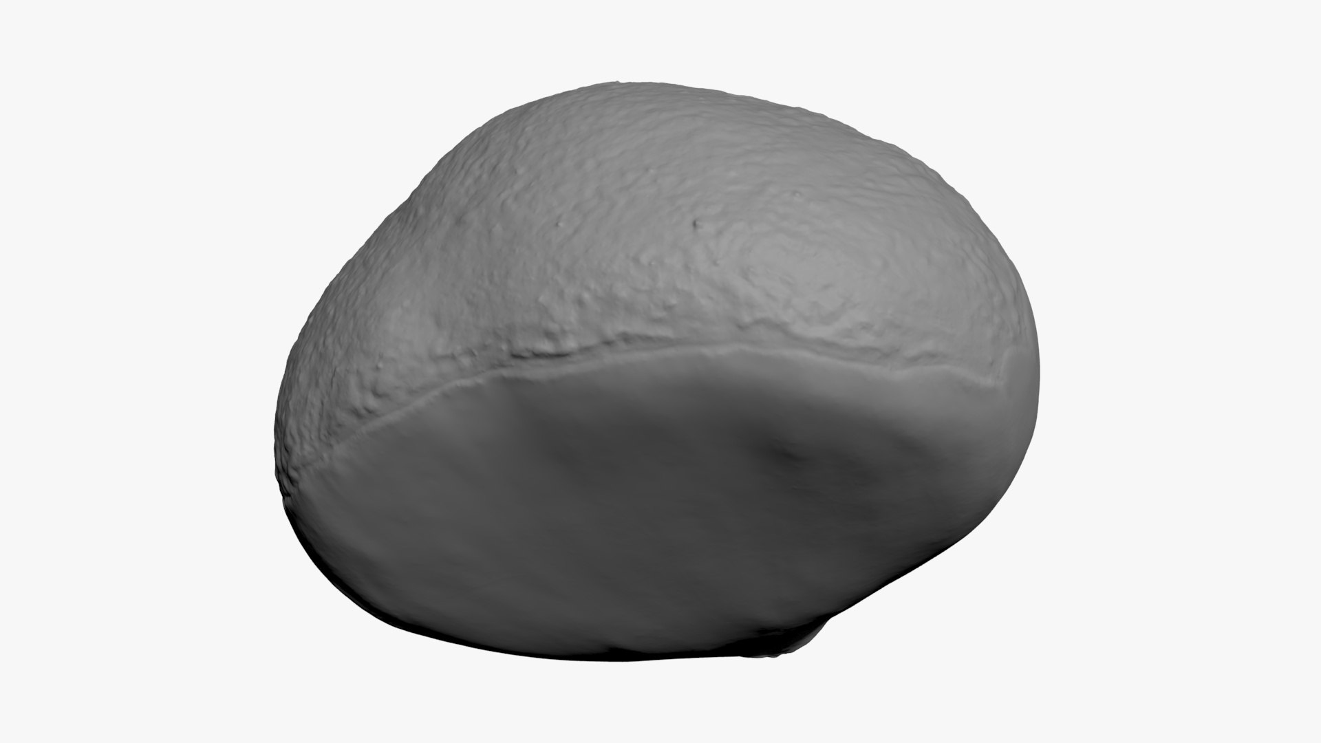 3D Chestnut 02 for 3D Print model https://p.turbosquid.com/ts-thumb/lB/Q7Xh1u/iA/chestnut02_b0018/jpg/1739050995/1920x1080/fit_q87/35b8dfce19553f4a9b568b192cc7bf5a580e968b/chestnut02_b0018.jpg