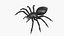 Spinne
