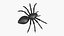 Spinne