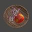 Apple and Grapes Bowl