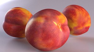 3D model peach fruit nectarine