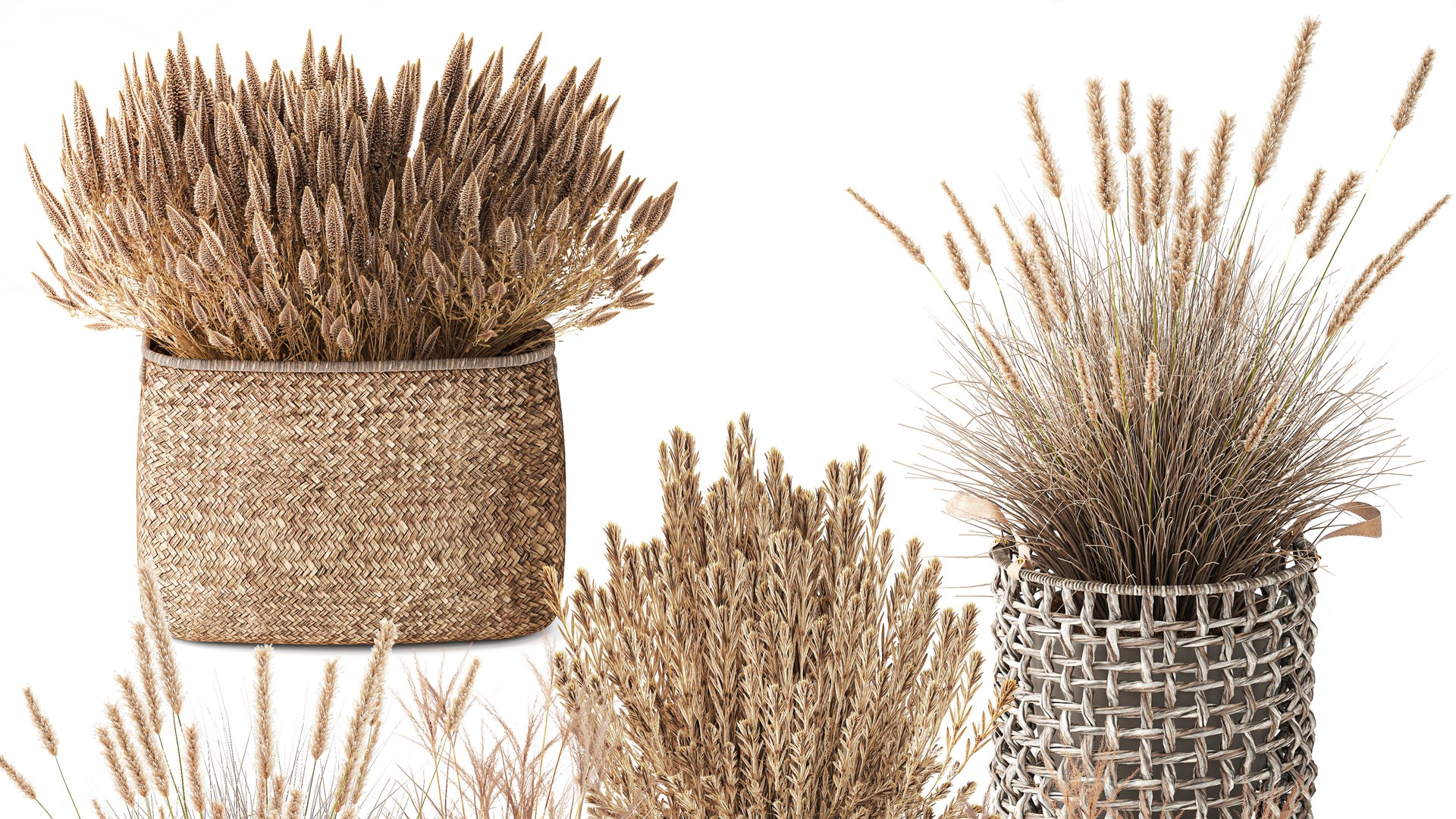 Dry Dried Flowers Basket Pampas Grass Reeds Bushes Decor 3D Model ...
