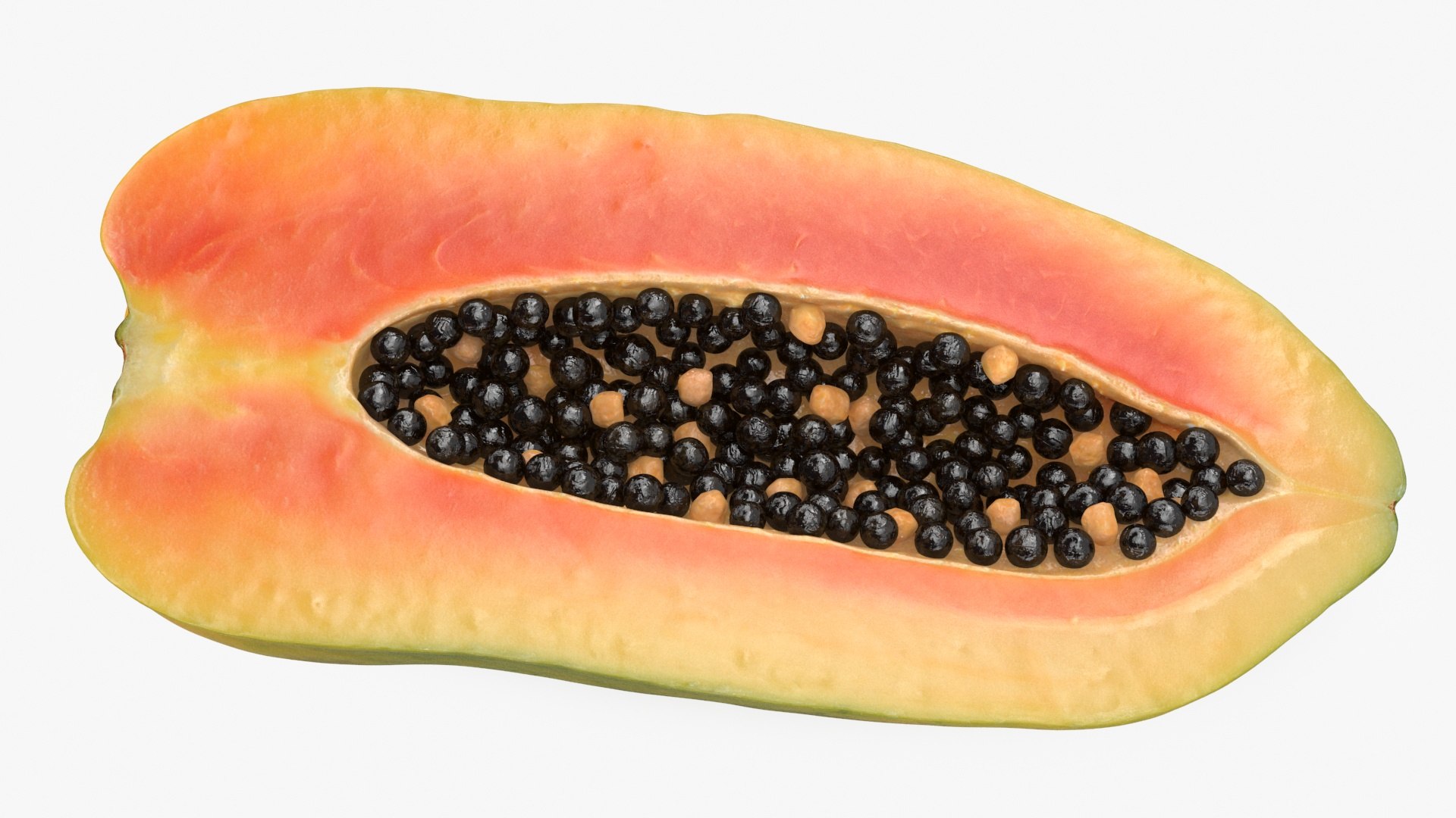 Papaya Half model https://p.turbosquid.com/ts-thumb/lC/5xrXDd/E7/papayarladyhalf_b0008/jpg/1698084177/1920x1080/fit_q87/f6fc1b81fccaba6ca825902cf46ad1feb9b13ceb/papayarladyhalf_b0008.jpg