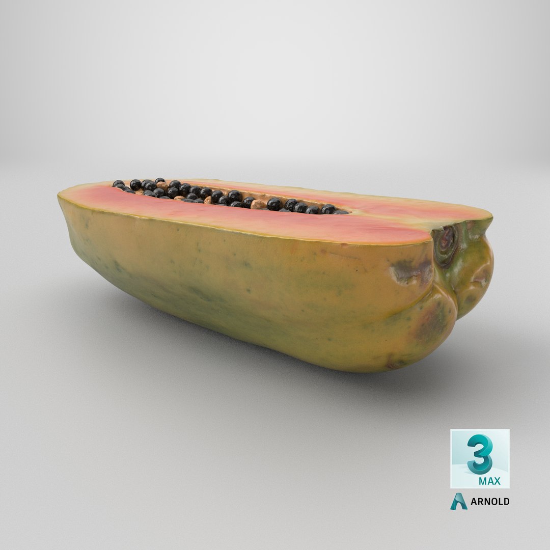 Papaya Half model https://p.turbosquid.com/ts-thumb/lC/5xrXDd/gN/stemcell_max_arnold_render/png/1698928613/1920x1080/fit_q87/802b54f6617a13a96ea5317427ef7ccefb9cde5e/stemcell_max_arnold_render.jpg