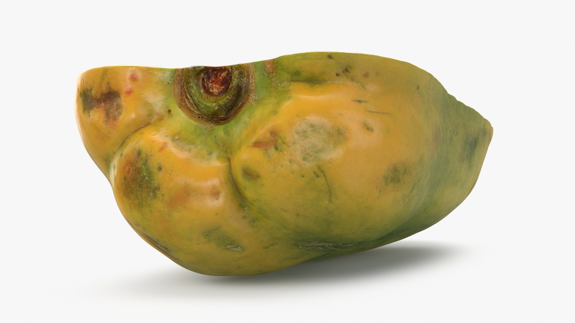 Papaya Half model https://p.turbosquid.com/ts-thumb/lC/5xrXDd/z2/papayarladyhalf_b0014/jpg/1698084179/1920x1080/fit_q87/46ce893c4f93861e1549ad463504b84c34d68e5b/papayarladyhalf_b0014.jpg