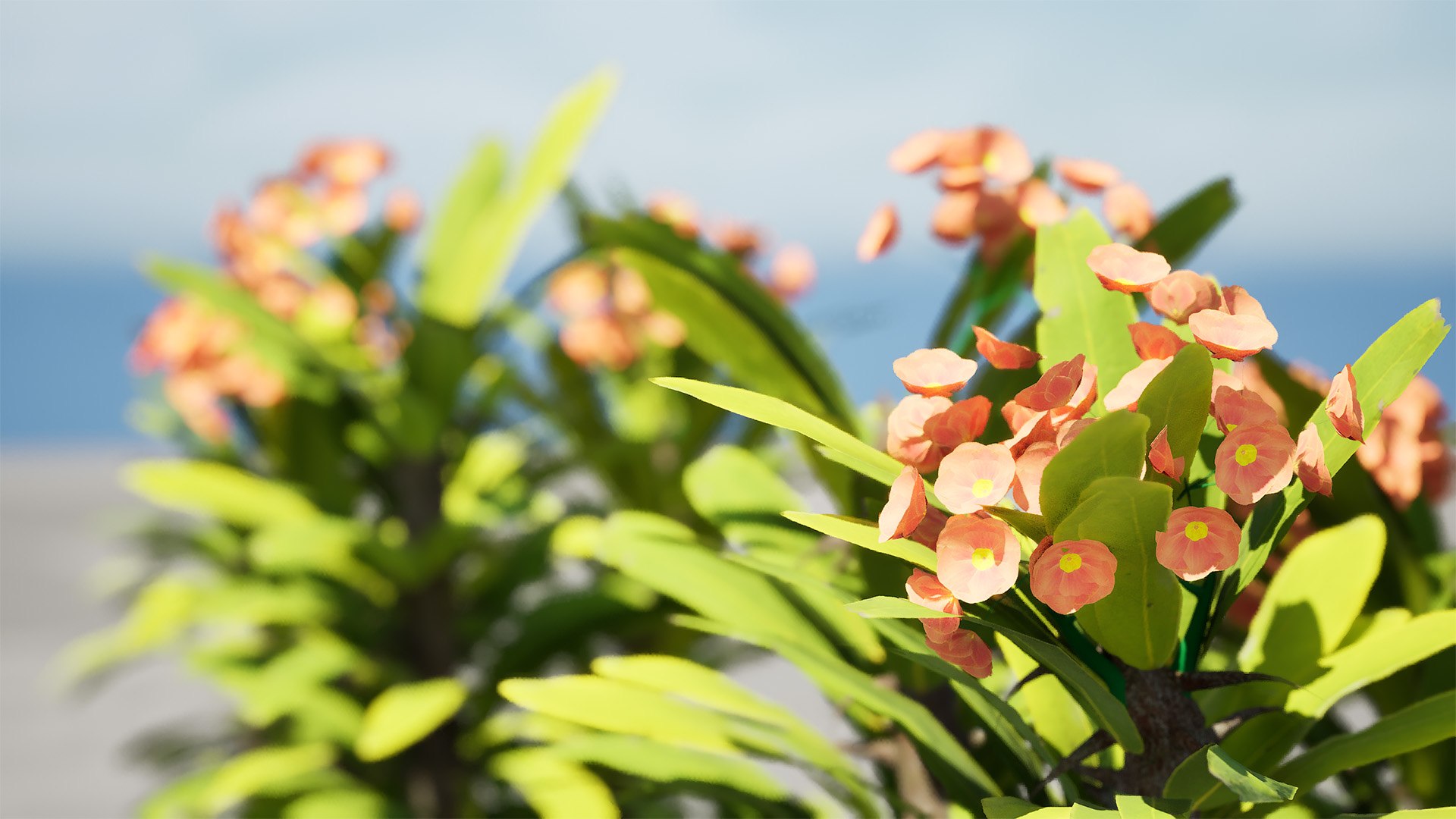 Blooming Euphorbia 3D Model 3D model https://p.turbosquid.com/ts-thumb/lC/6TNoQd/S5/highresscreenshot00002/jpg/1730322221/1920x1080/fit_q87/a49c2102d82300bc980e8c7d095bafc4188c76de/highresscreenshot00002.jpg