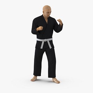 Japanese Karate Fighter Black Suit Rigged 3D Model