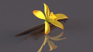 3D vanilla orchid spice flower