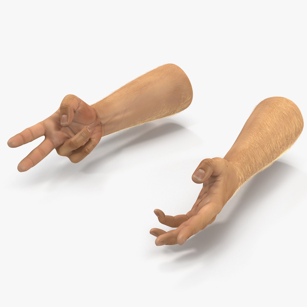 Man Hands 2 with Fur Rigged 3D model preview