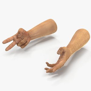 Man Hands 2 with Fur Rigged