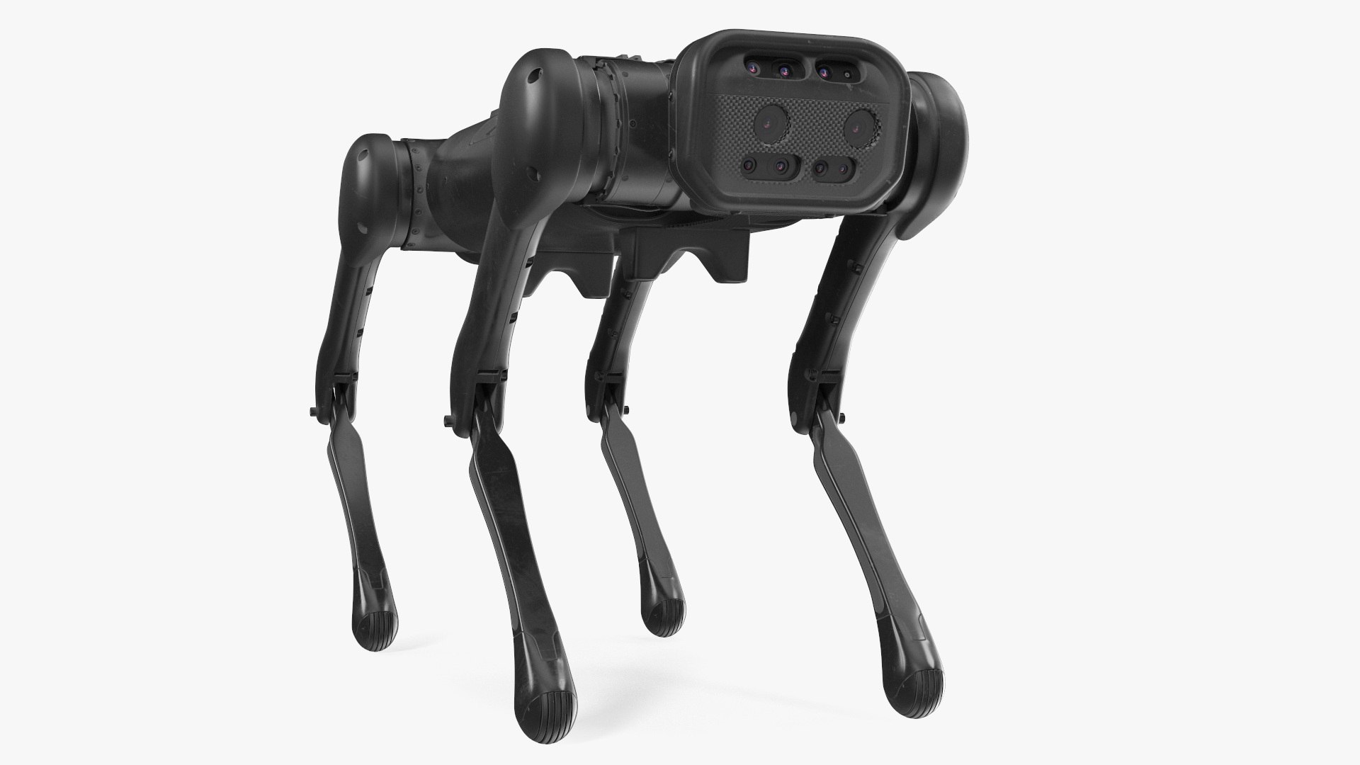 Dirty Robot Dog 3D model preview